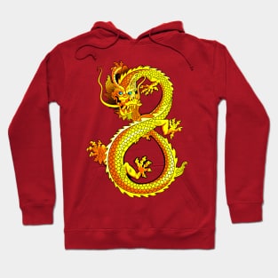 the Dragon Hoodie